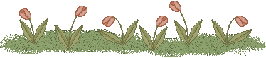 bunnies_div03.gif (5344 bytes)