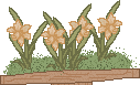 bunnies_rack05.gif (3180 bytes)
