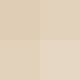 tile_yl05.gif (287 bytes)
