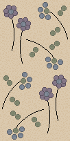 smr_tile01vbg.gif (5206 bytes)