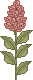 spr_cl27.gif (1396 bytes)