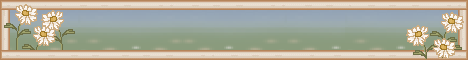 setbanner05.gif (8563 bytes)