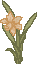 spring_dafa.gif (1286 bytes)