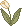 sm_tulipw.gif (987 bytes)